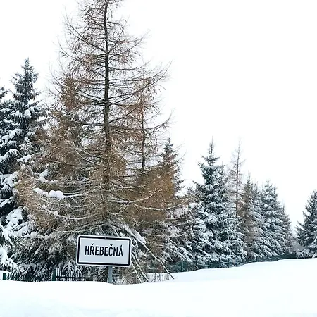 Penzion U Můstku Hřebečná