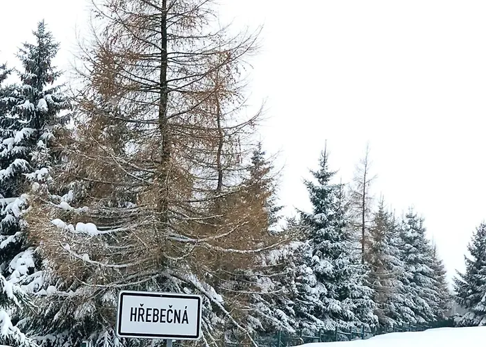 Гостевой дом U Mustku Hrebecna